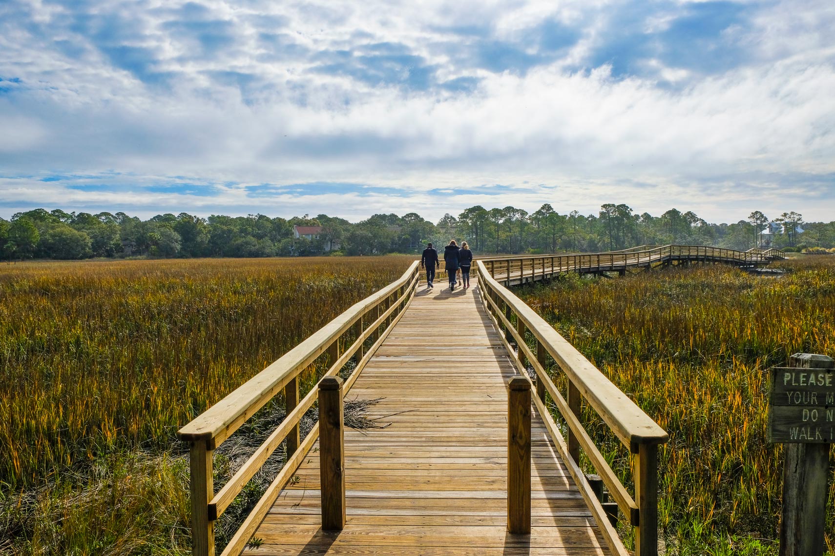 MARSH GRASS BOARDWALK